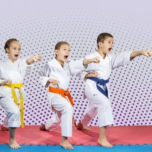 Martial Arts Lessons for Kids in Spring Hill KS - Punching Focus Kids Sync