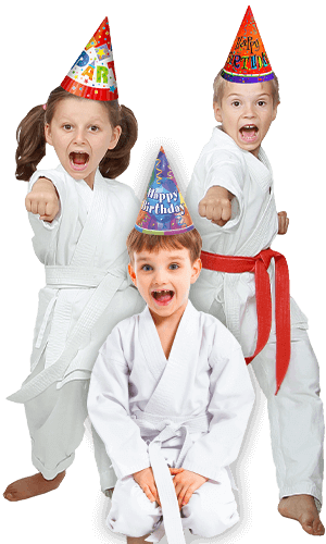 Martial Arts Birthday Party for Kids in Spring Hill KS - Birthday Punches Page Banner